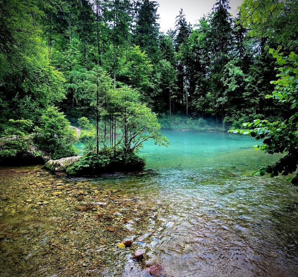 Kamniska Bistrica Skalca 빌라 외부 사진